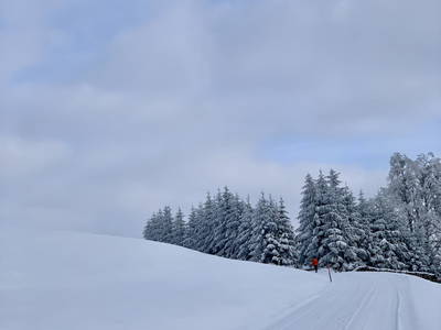 Bild 22 aus  Landhof Ebner