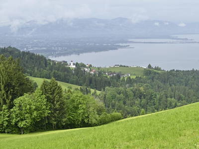 Bild 82 aus Ferienbauernhof Fessler