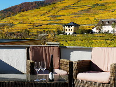 Bild 88 aus  Weingut STRAWANZER Donabaum