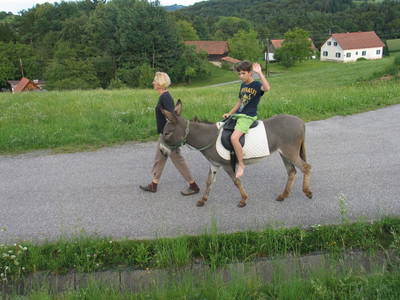 Bild 24 aus  Der Ofenmacherhof  Urlaub am Bauernhof
