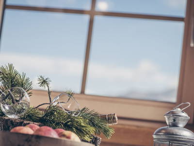 Bild 31 aus  Hanserhof-Ferienhaus