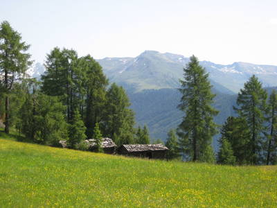 Bild 16 aus  Hanslerhütte