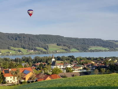 Bild 229 aus  Ferienhof Langwallner Irrsee