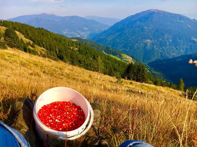 Bild 41 aus  Chalet Almhaus Strobl