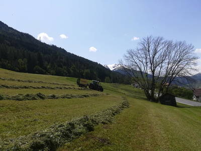 Bild 71 aus  Tobadillerhof Kinderbauernhof Pitztal Tirol