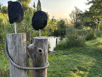 Bild 71 aus  Biohof Besenbäck