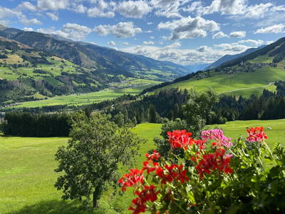 Bild 14 aus  Neuhauserhof