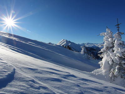 Bild 54 aus  Taxengut