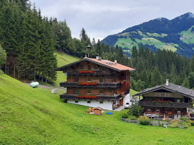 Bild 45 aus  Alpboden