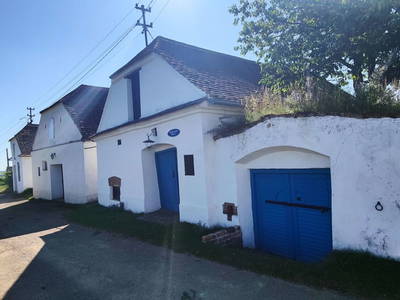 Bild 36 aus  Ferienhaus Weinviertel