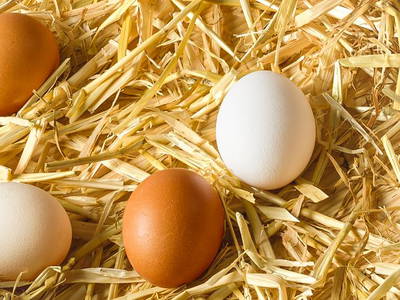 Bild 19 aus  Familie Rößler vlg. Spor