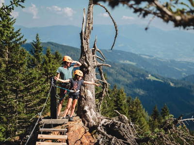 Bild 33 aus  Unplugged Almhütte "Waldbauer" in Alleinlage