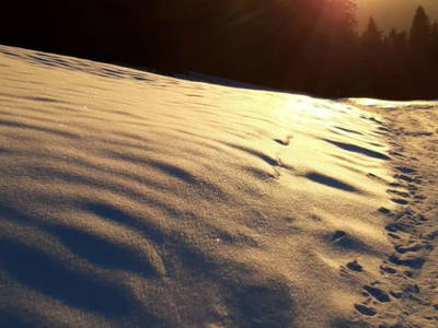 Bild 75 aus  Ferienhaus Untergrünweg