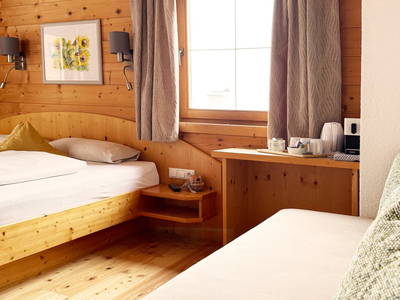 Bild 336 aus  Der Ortnerhof