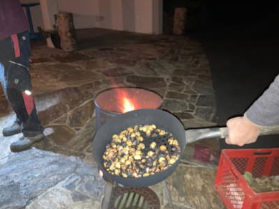 Bild 55 aus  Hausmi