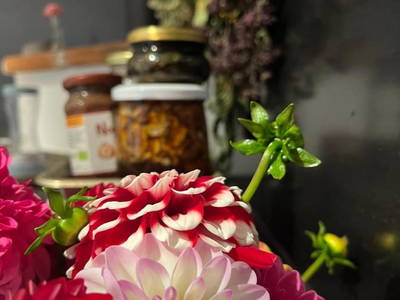 Bild 73 aus  Ascherhof