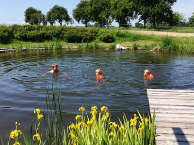 Bild 25 aus  Gestehof Hetzenberg