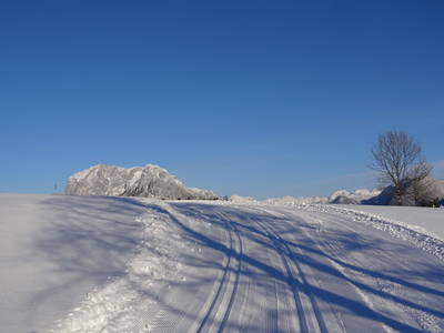 Bild 234 aus  Stanglhof