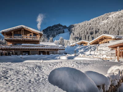 Bild 44 aus  Benglerwald Berg Chaletdorf