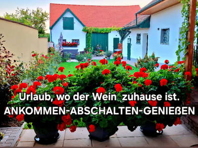 Bild 14 aus  Ferienhaus Weinviertel