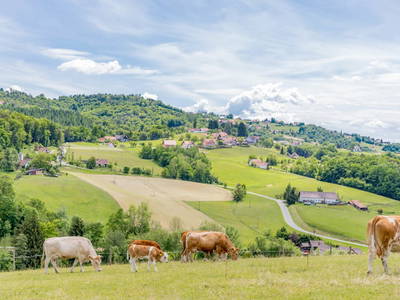 Bild 5 aus  Weberhof