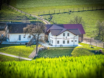 Bild 55 aus  Straußenhof Halmer