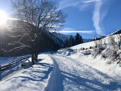 Bild 61 aus  Bleierhof