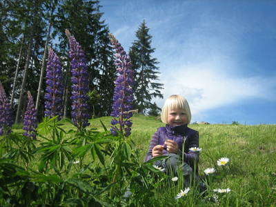 Bild 83 aus  Langhans-Gasthof-Pension