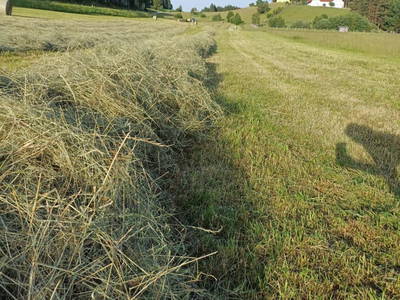 Bild 52 aus Biohof Pascher