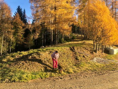 Bild 143 aus  Baumgartnerhaus