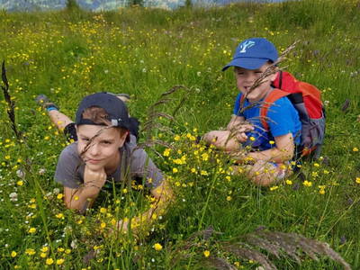 Bild 9 aus  Sportbauernhof Hochalmblick