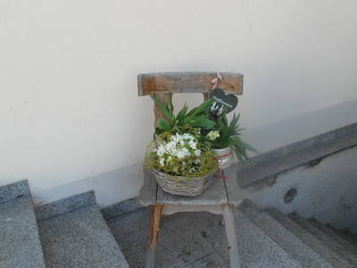 Bild 101 aus  Lugerfarm