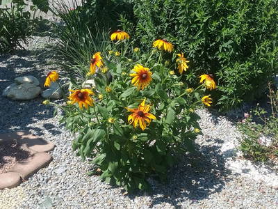 Bild 2 aus  Landhaus Schaidreith