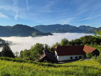 Bild 186 aus  Ferienhof Rabenreith