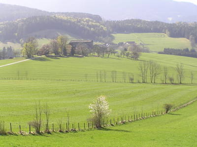 Bild 31 aus  Zehenthof