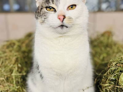 Bild 159 aus  Erbhof Hinting + Appartementhaus Hinting