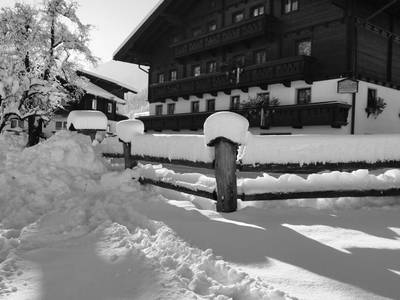 Bild 48 aus  Bio-Bauernhof Schweizerhof