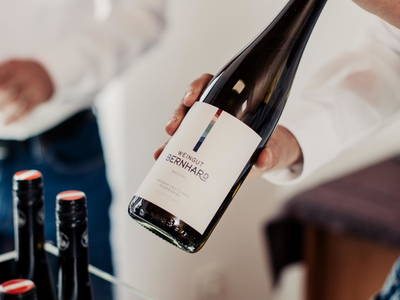 Bild 32 aus  Gästehaus - Winzerhof Bernhard