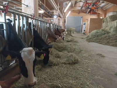 Bild 27 aus  Landhaus Eiter