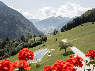 Bild 53 aus  Das Grabnergut