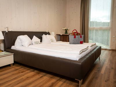 Bild 209 aus  Wiaz`Haus Orthofer