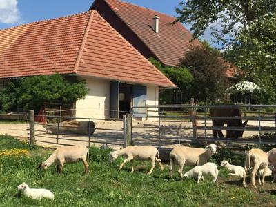 Bild 26 aus  LandSelection Hofgut Hopfenburg GmbH