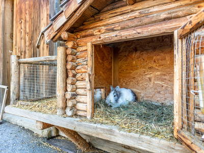 Bild 65 aus  Palfenhof