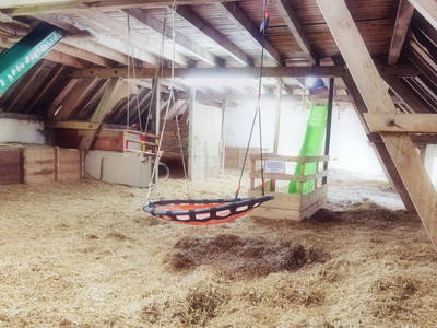 Bild 20 aus  Ferienhof-Marx