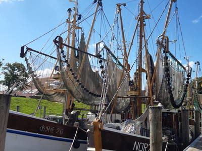 Bild 31 aus  Ferienhof Hasseler