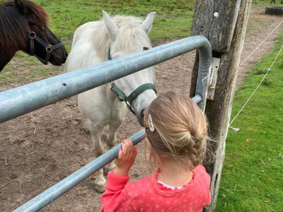 Bild 5 aus  Hof Janssen