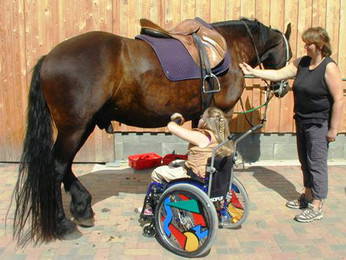 Bild 33 aus  Hof Grüneberg