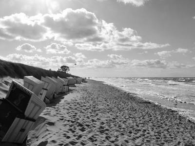 Bild 36 aus  Seestück Prerow