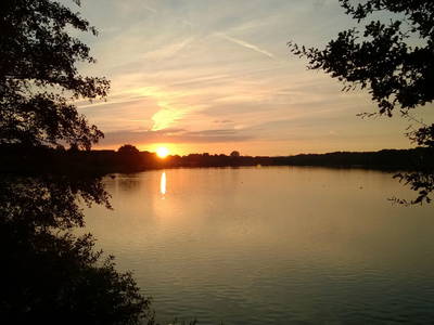 Bild 18 aus  Hof Roßkamp