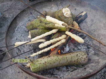 Bild 11 aus  Kantorhof